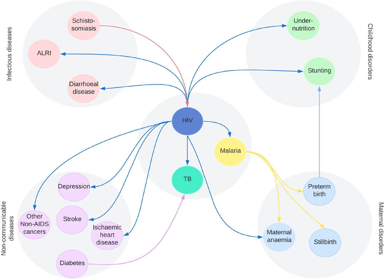 The biological interactions for HIV, TB and malaria captured in the Thanzi la Onse model. Arrows depict the direction of risk, e.g. HIV is a contributing cause for diarrhoeal disease and acute lower respiratory infections (ALRI) etc. Social and behavioural risk factors are not depicted here.
