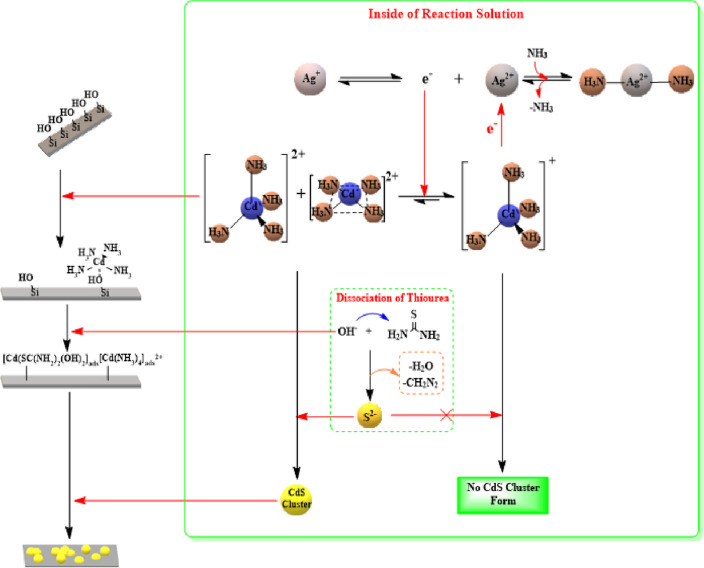 The growth mechanism of CdS + Ag in CBD.