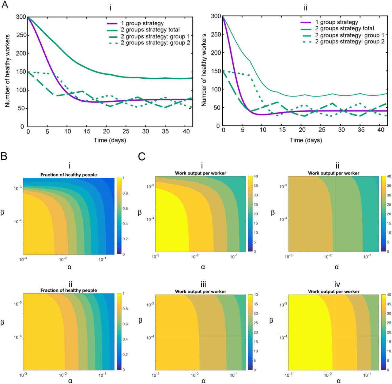 (A) Representative examples of infection rates of healthcare workers with and without desynchronization (SLIW). Number of healthy workers as a function of time for two sets of parameters values. (i) Assumption: low infection rate: α = 0.1, β = 0.001. α1 = 0.1, β1 = 0.001 during the odd weeks, and α2 = 0.1, β2 = 0.001 during the even weeks. (ii) Assumption: high infection rate: α = 0.2, β = 0.002. α1 = 0.2, β1 = 0.002 during the odd weeks, and α2 = 0.2, β2 = 0.002 during the even weeks. All rates are in units of day-1. (B) Impact of infection rates on healthcare workers availability. Number of healthy workers as a function of the infection rates. (i) Normal strategy. (ii) Desynchronization strategy α stands for α1 during the odd weeks and α2 during the even weeks, idem for β. The rates α and β in units of day-1. (C) Impact of infection rates on the productivity. Value of the work output W(t) divided by the total number of workers at the end of the simulation (6 weeks) for the normal strategy (Strategy 1), and different values of the home office productivity with the desynchronized strategy (Strategy 2). (i) Strategy 1, (ii) Strategy 2, with productivity at home B=0.5, (iii) Strategy 2, productivity at home B=0.75, (iv) Strategy 2, productivity at home B=1. The rates α and β in units of day-1.
