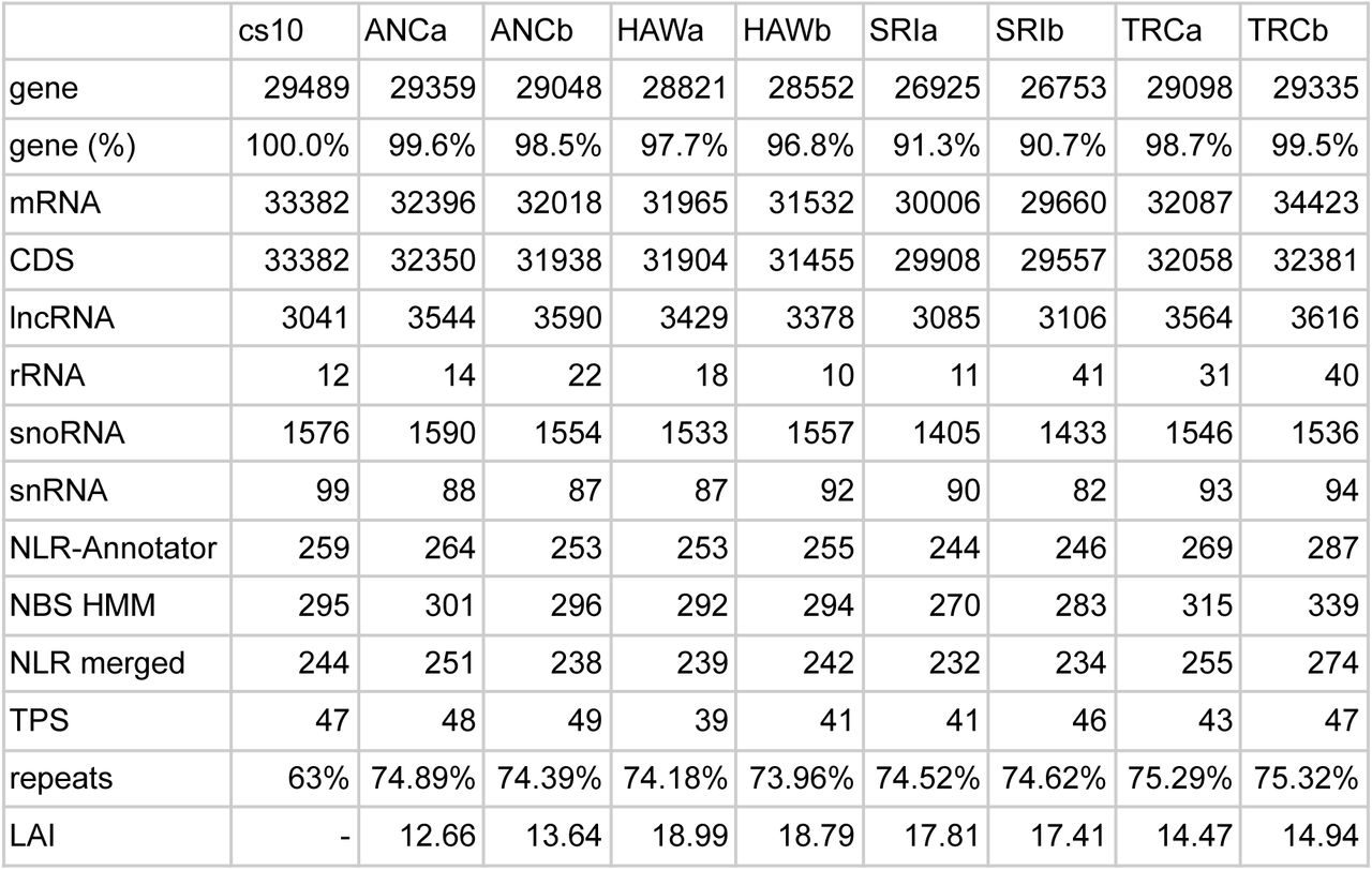 Annotation counts for cs10, which we used as a source for Liftoff, and the 8 Lighthouse haplotypes. Repeat content for cs10 is as reported previously (Grassa et al. 2021).