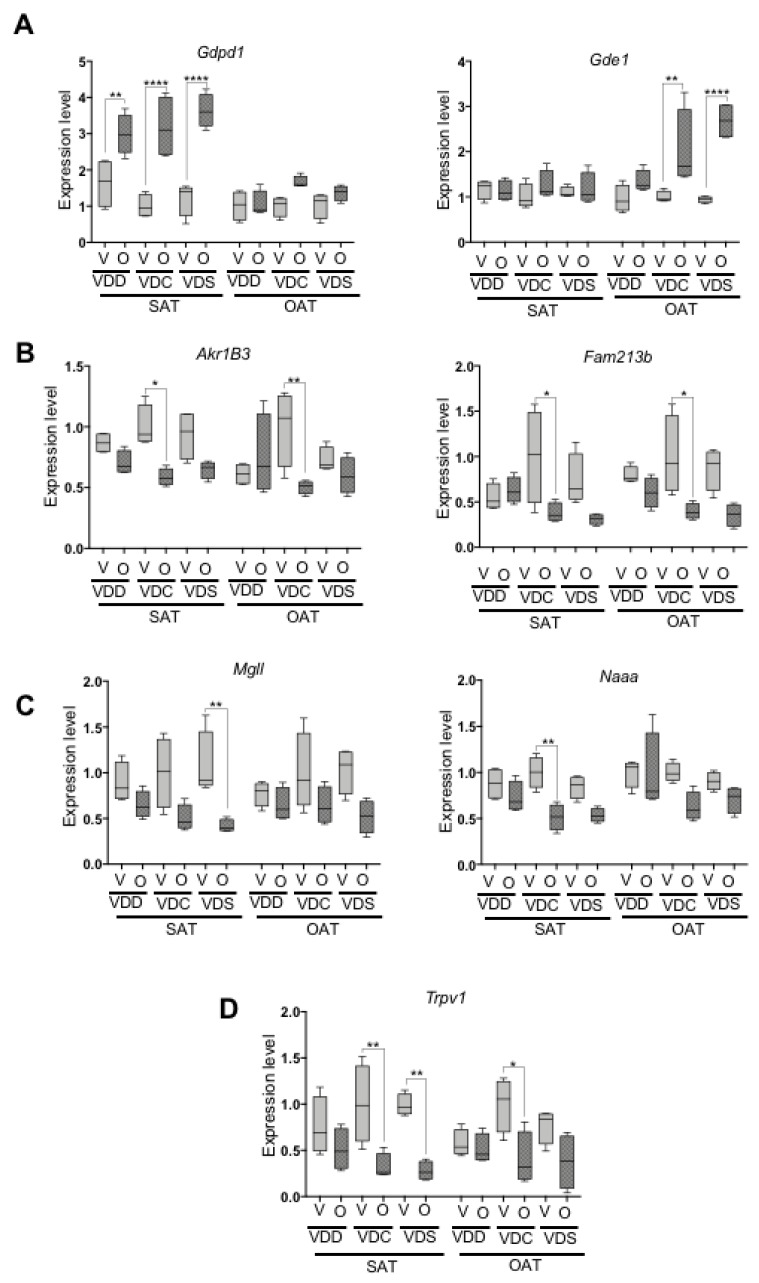 mRNA expression levels of eCBome related genes measured by qPCR, including (A) anabolic enzymes involved in NAE biosynthesis, (B) anabolic enzymes involved in synthesizing prostaglandins and prostaglandin-related lipids from fatty acids or endocannabinoidome (eCBome) mediators, respectively, (C) catabolic enzymes and (D) one selected receptor. Data are shown as a box (5th and 95th and mean value) and whisker (minimum and maximum values) plots. * p ≤ 0.05; ** p ≤ 0.01; **** p ≤ 0.001. VDD, Vitamin D Deficiency; VDC, Vitamin D Control; VDS, Vitamin D supplemented; O, Olanzapine; V, Vehicle; SAT, Subcutaneous adipose tissue; OAT, Ovarian adipose tissue.
