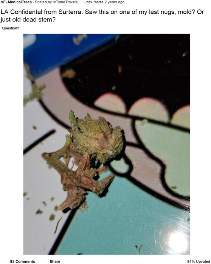 Deconstructed cannabis flower with brown sections of the stem and flower that may be contamination. Adapted from FLMedicalTrees.