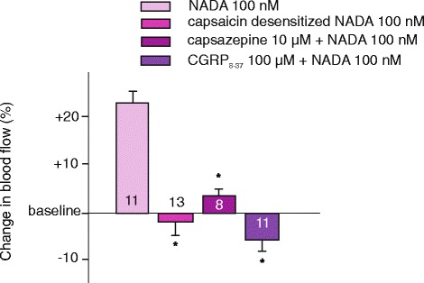Effect of systemic capsaicin desensitization and preapplication of capsazepine or CGRP8–37 on NADA-induced changes in meningeal blood flow. Percentage changes in blood flow were calculated as mean ± SEM for the 3-min application period relative to the baseline. The number of experiments is indicated in the bars. *: statistically different from the corresponding control values (p < 0.05)