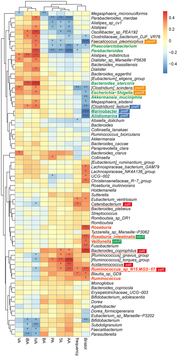 Clustered heatmap displaying the correlation of SCFAs and outcomes across top 35 genera and species. The outcomes and SCFAs are listed on the below and the taxa name are listed right. The taxa belonging to the group "pre" and "int" are shown in colored text of green and red, respectively. The taxa of subgroups are displayed by annotations like "prenR" and "intR". The colors in the heatmap represent correlation coefficients: red indicates a positive correlation, and blue indicates a negative correlation. The color gradient indicates the magnitude of the coefficient, with the values displayed on the color gradient bar on the right.