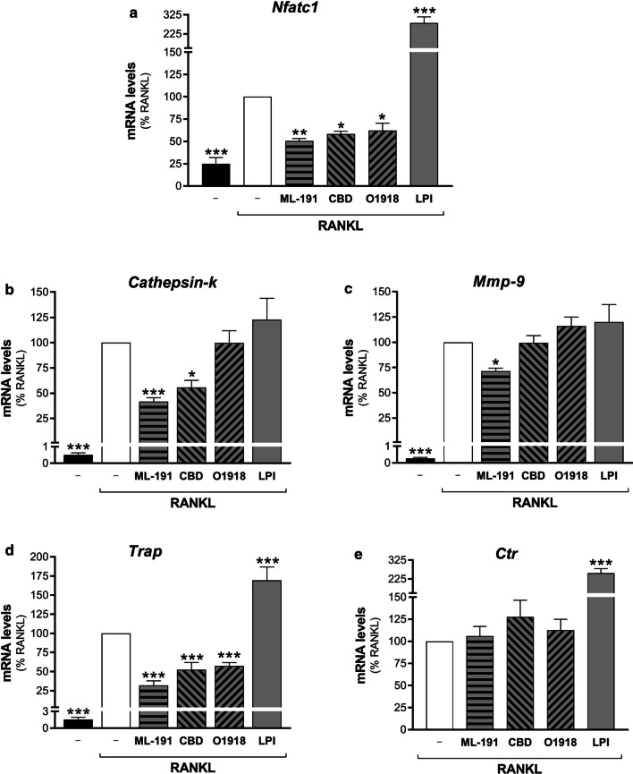 Effects of GPR55 modulators on osteoclast maturation. Real-time PCR analysis of the differentiation markers (as indicated) in RAW264.7 cells treated in the absence (–) or presence of 15–30 ng/mL RANKL for 72 h, without or with GPR55 putative antagonists/agonist (0.5 µM ML-191, 0.5 µM CBD, 30 µM O1918, 1 µM soybean LPI). Transcripts were quantified and normalised using β2-microglobulin expression, as the housekeeping gene. Data are means ± SEM of four independent experiments. *p < 0.05; **p < 0.01, ***p < 0.005 versus RANKL (one-way ANOVA, followed by Fisher’s least significant difference tests)