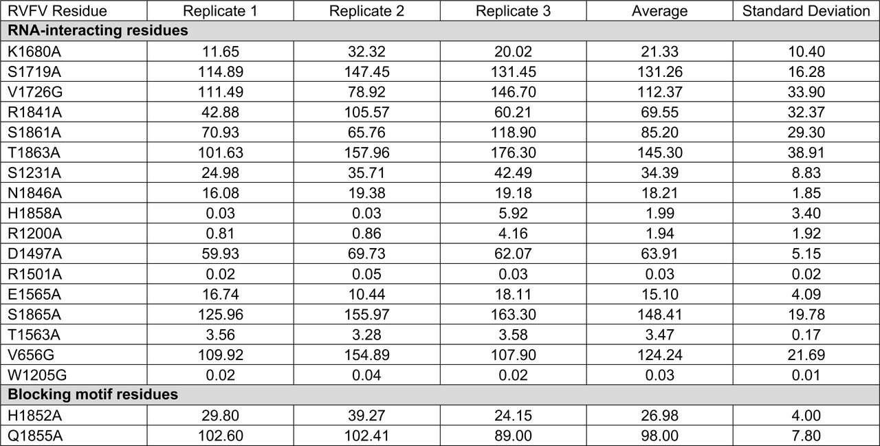 Raw data from RVFV mini replicon assays.For each mutant, the calculated Ren-Luc activity (as a % compared to the WT) from 3 biological replicates (as indicated in the table), the calculated average and standard deviation is provided.