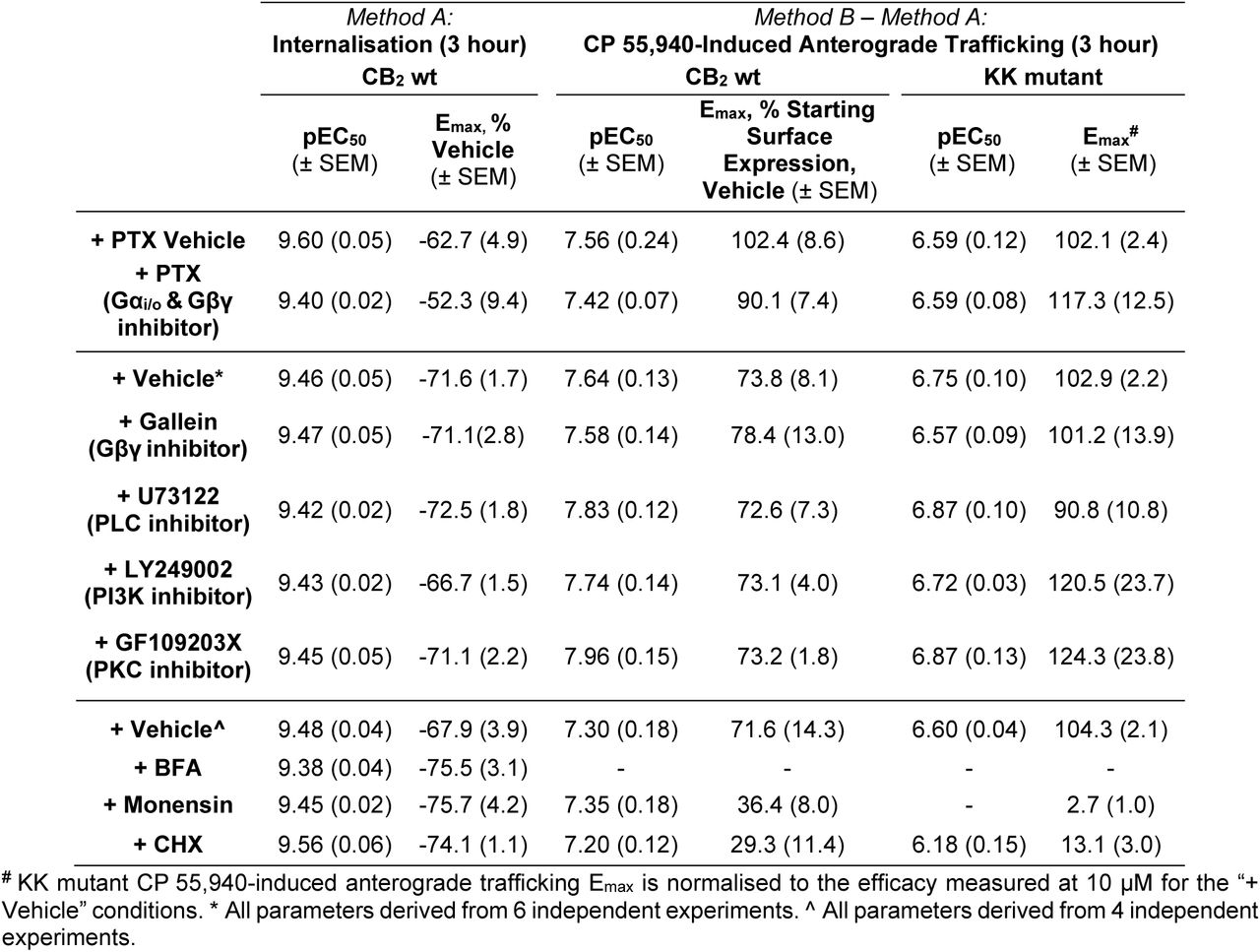 Trafficking summary data for stably expressed CB2 and KK mutant in response to CP 55,940, in the absence or presence of various inhibitors of signalling, trafficking, or protein synthesis.Parameters are derived from three independent experiments, unless otherwise stated.