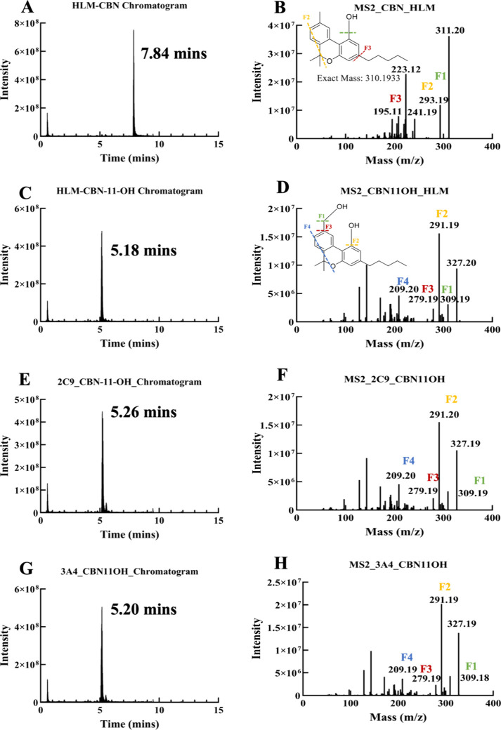 LC and MS2 fragmentation analysis of CBN and CBN-11-OH by human liver microsomes, CYP2C9 and CYP3A4. (A) CBN peak is detected at 7.78 min when subjected to metabolism by HLM, and the respective MS2 fragmentation of CBN is represented in (B). The CBN-11-OH peak is detected at 5.23 min in (C), and the respective MS2 fragmentation pattern of CBN-11-OH in (D). LC (E) and the MS2 patterns of CBN-11-OH formed from the metabolism of CBN by CYP2C9 are shown in (F). LC (G) and the MS2 patterns of CBN-11-OH formed from the metabolism of CBN by CYP3A4 are shown in (H).