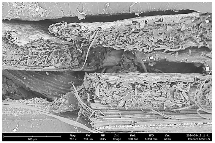 Microstructural analysis of 30% hemp fiber-reinforced polymer composites through SEM.