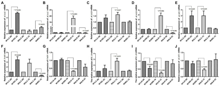 Validation of transcript expression by quantitative PCR (qPCR). (A,B) The expression of ACAA2 mRNA in tree shrew choroid and retina, respectively; (C,D) The expression of ACACB mRNA in tree shrew choroid and retina, respectively; (E,J) The expression of ACAT1 mRNA in tree shrew choroid and retina, respectively; (F,G) The expression of FASN mRNA in tree shrew choroid and retina, respectively; (H,I) The expression of IL18 mRNA in tree shrew choroid and retina, respectively. Data are presented as mean ± SEM (n = 3). GAPDH was used as a housekeeping internal control. Transcript expression was quantified relative to the expression level of GAPDH by 2-ΔΔCT method. 0.001 ≤ *p < 0.05; **p < 0.001.