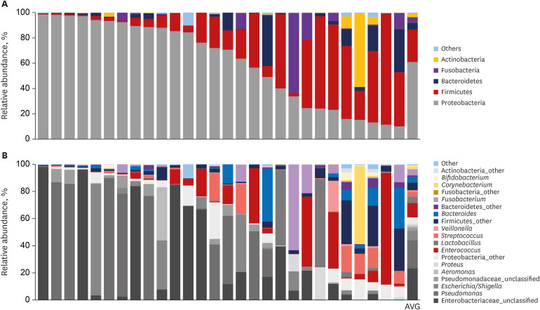 Interindividual variation of microbiota compositions at the major phylum and genus levels in the bile of the study subjects. (A) Phylum level, (B) genus level.
