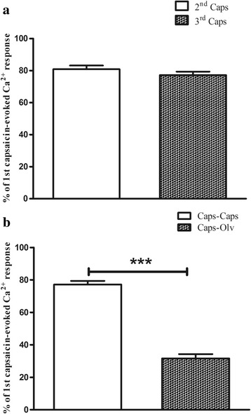 Capsaicin-evoked calcium responses in the whole population of DRG cells in the presence or absence of olvanil. Results are expressed as a percentage of the peak responses evoked by the first capsaicin application and are presented as means ± SEM. a, TRPV1-mediated calcium responses due to repeated exposure to capsaicin 100 nM. b olvanil significantly decreased the capsaicin-evoked calcium responses compared to an identical protocol of repeated capsaicin exposure in the presence of vehicle (***P < 0.001, Student’s t test)