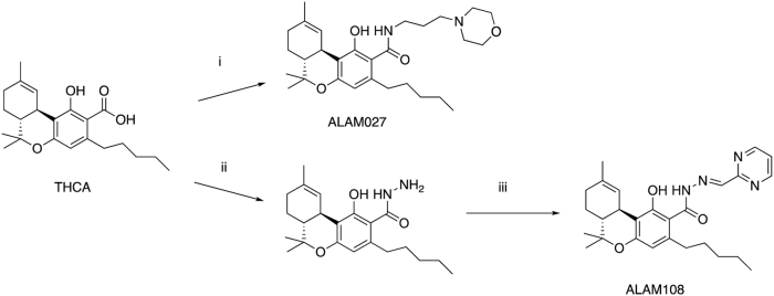 Synthesis of ALAM027 and ALAM108: (i) 3-morpholinopropan-1-amine, CDI, THF; (ii) hydrazine hydrate, CDI, THF; (iii) pyrimidine-2-carbaldehyde, EtOH, reflux. CDI, carbonyldiimidazole; THF; tetrahydrofuran.