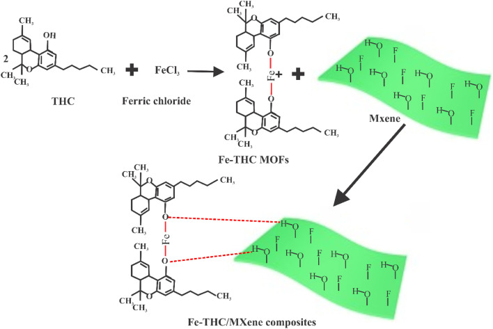 Possible mechanism of formation of Fe-THC/composite.