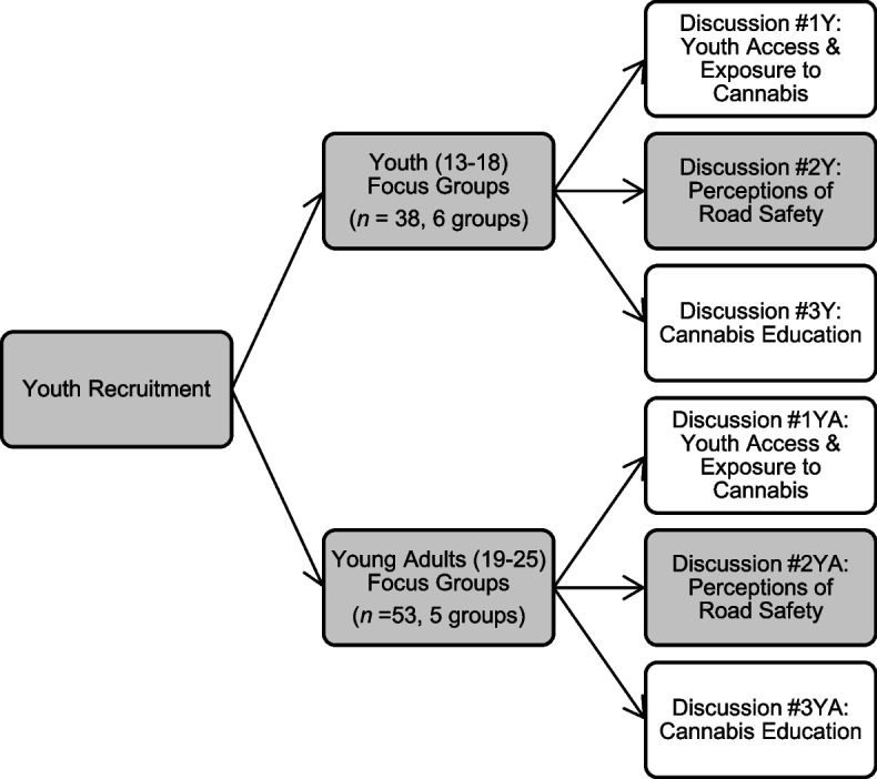 Focus group facilitation flowchart. Note. Y = youth, YA = young adult. Identified themes in the present qualitative study are from a larger series of discussions with youth, therefore, the shaded cells identify which focus groups and discussion topics are explored herein