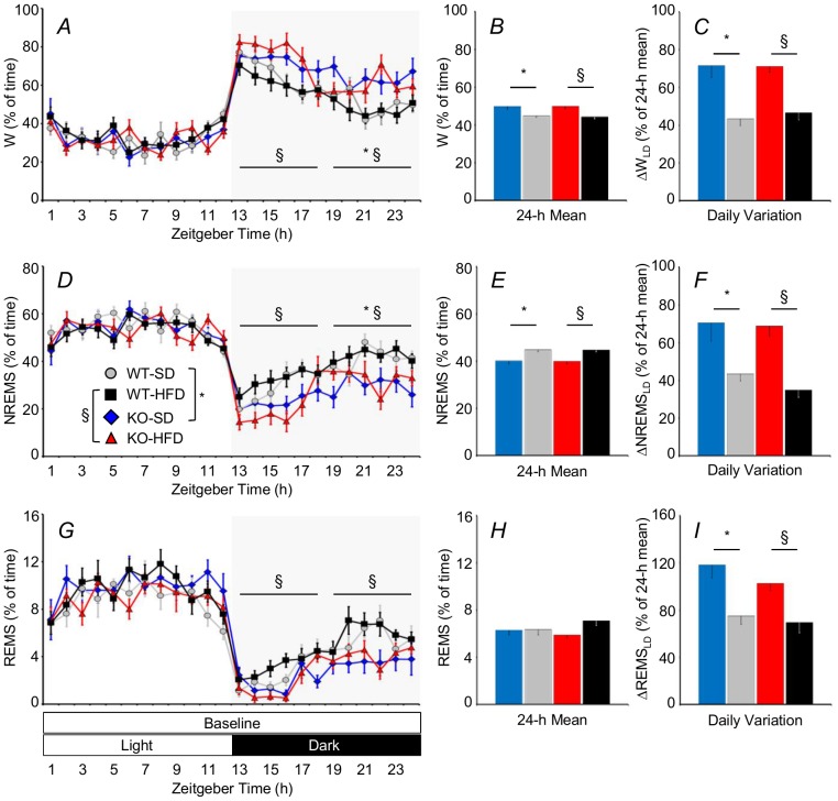 Percentage of baseline recording time spent in wakefulness (W), non-rapid-eye-movement sleep (NREMS), and rapid-eye-movement sleep (REMS) as a function of the time of day (A, D, and G) and as 24-hour average (B, E, and H).Panels C, F, and I show the difference in the amount of time spent in each wake-sleep state between the light and dark period expressed as a percentage of the 24-h amount of time spent in each state. Zeitgeber time is time from lights on. Statistical analysis in panels A, D, and G was performed on average values over 6-hour periods (horizontal lines). Data are means ± SEM in KO and WT fed SD or HFD, with n = 9–10 per group. * and §: P<0.05, WT-SD vs. KO-SD and WT-HFD vs. KO-HFD, respectively. Abbreviations have the same meaning as in Figure 1.