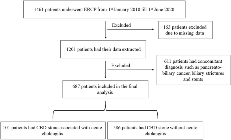 This figure demonstrates the flow chart of the study cohort.