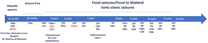 Onset of infantile spasms at the age of 10 months. She was treated with NZP and VGB without benefit. IM ACTH treatment and successively, CLB in monotherapy provided a seizure-free period. At the age of 2 years, the patient showed focal seizures/focal to bilateral tonic-clonic seizures that failed several AED's treatment. Due to the high frequency of the seizures (>4 attacks/day) and frequency episodes of epileptic the child has been monthly hospitalized. Until now, LEV and cycles of ACTH provided the more significant benefits. VGB, Vigabatrin; NZP, Nitrazepam; ACTH, adrenocorticotropic hormone; CLB, Clobazam; VPA, Sodium Valproate Acid; LTG, Lamotrigine; TPM, Topiramate; LEV, Levetiracetam; CLZ, Clonazepam; RFN, Rufinamide; ETS, Etosuccimide; PB, Phenobarbital; OXC, Oxcarbazepine; PGB, Pregabalin; LCM, Lacosamide; PER: Perampanel; CBZ, Carbamazepine. +: Good therapeutic efficacy (decreasing frequency and/or intensity of seizures). –: Bad therapeutic efficacy (increasing and/or worsening of seizure frequency or severity). In red: excellent therapeutic efficacy (marked decrease in frequency and/or intensity of seizures).