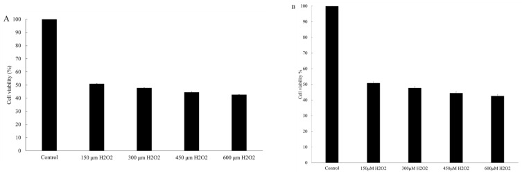 Effect of various concentrations of tetrahydrocurcumin (THC) (A) and H2O2 (B) on the viability of HaCaT cells after 24 h of treatment.