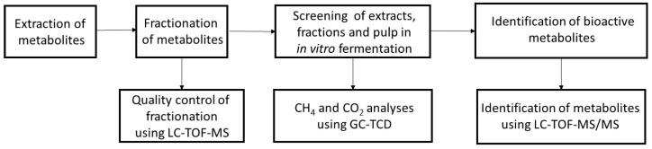 Schematic representation of the experimental design.