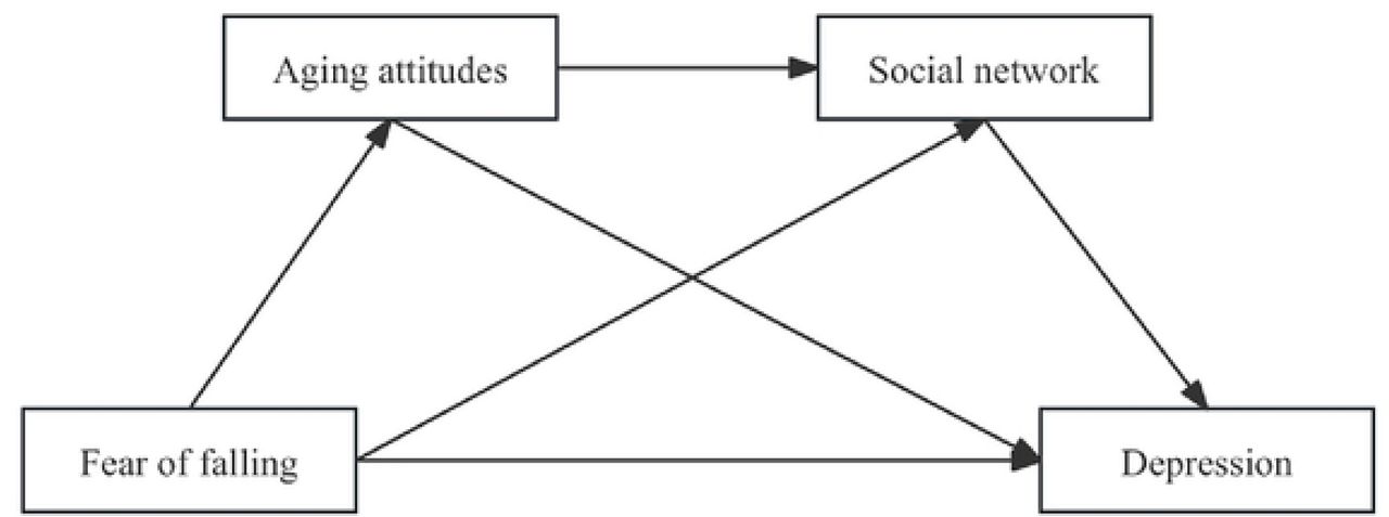 Chain mediation hypothesis model
