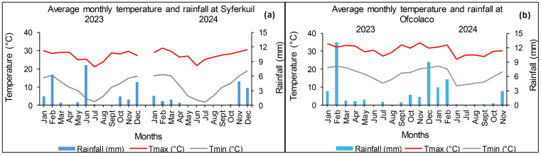 Two-panel graph comparing average monthly temperature and rainfall. Panel (a) shows Syferkuil with a red line for high temperature, gray for low temperature, and blue bars for rainfall in 2023 and 2024. Panel (b) displays similar data for Ofcolaco. Temperatures range from 0 to 40 degrees Celsius, rainfall from 0 to 15 millimeters.