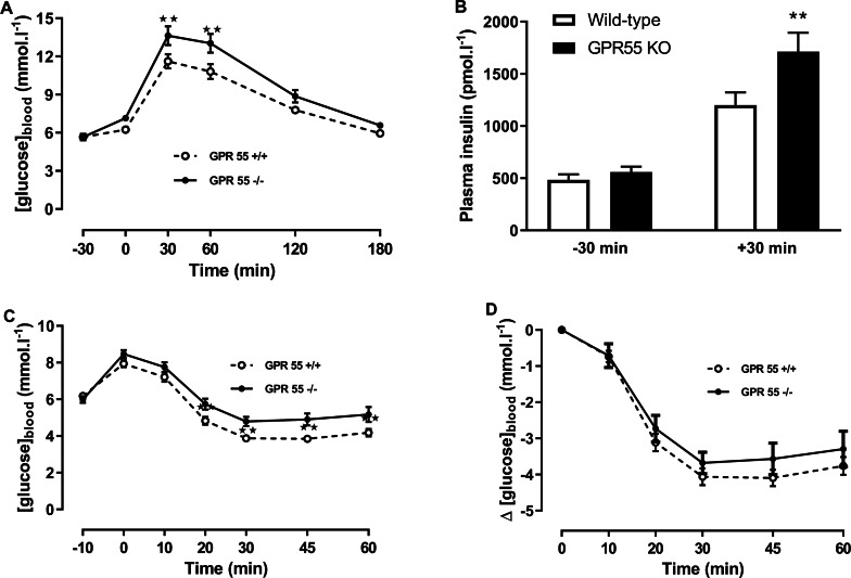 Glucose and insulin tolerance in GPR55 knockout and wild-type mice fed on a high fat diet.Blood glucose concentration (A) and plasma insulin (B) before and after a glucose load (t = 0 min) at age 13 weeks after a 5 h fast, and blood glucose concentration expressed as absolute values (C) or change from t = 0 min (D) following an insulin load (t = 0 min) at age 14 weeks after a 5 h fast. Two-way ANOVA with time-matching followed by the FDR test showed that blood glucose was higher in the knockout mice at 30 and 60 min after dosing with glucose. Two-way ANOVA followed by the FDR test showed plasma insulin was higher in the knockout mice 30 after glucose. Two-way ANOVA followed by the FDR test showed higher blood glucose levels in the knockouts 20 min to 60 min following an insulin load. There was no genotype effect on the change in blood glucose following an insulin load. **P < 0.01.