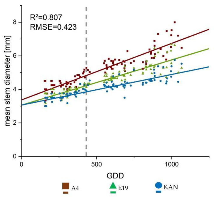 Growth curves fitted to the data collected from the weekly surveys for mean stem diameter using the linear Equation (3). The lines display the calculated growth trajectory, the respective symbols stand for the mean values of the respective treatment per growing degree day (GDD). The vertical dashed line represents the conversion from long to short day.