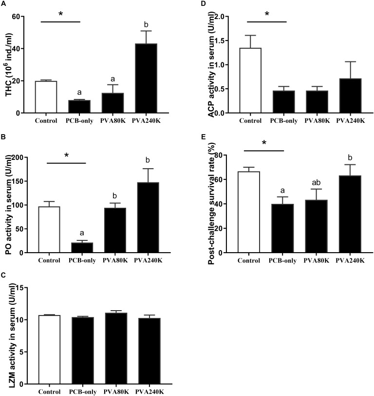 Effects of the vitamin A on the Aroclor 1254-mediated total hemocyte counts (THC) (A), Phenoloxidase (PO) (B), lysozyme (LZM) (C) and acid phosphatase (ACP) (D) activities in the serum and Post-challenge survival rate (E) from three individuals (n = 3); blank bar: diet without PCB, dark bar: diets with PCB. ∗p < 0.05. Data shown as means ± SEM.