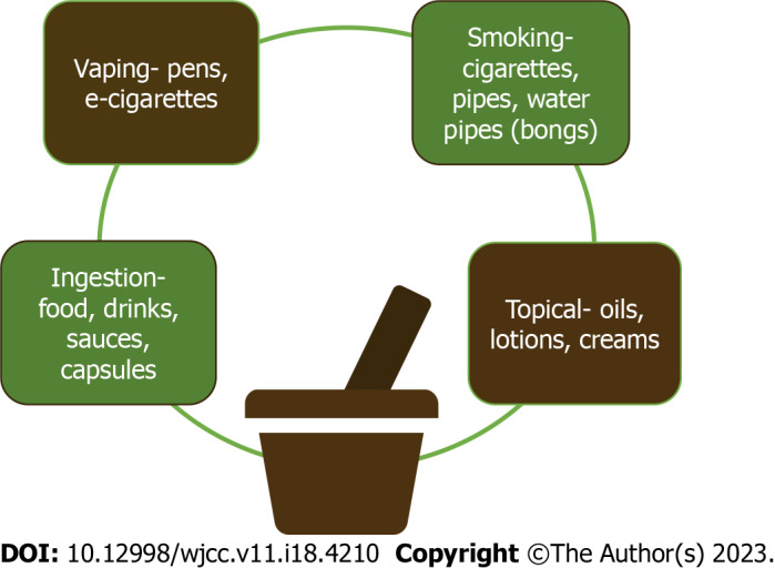 Different routes of cannabisy.