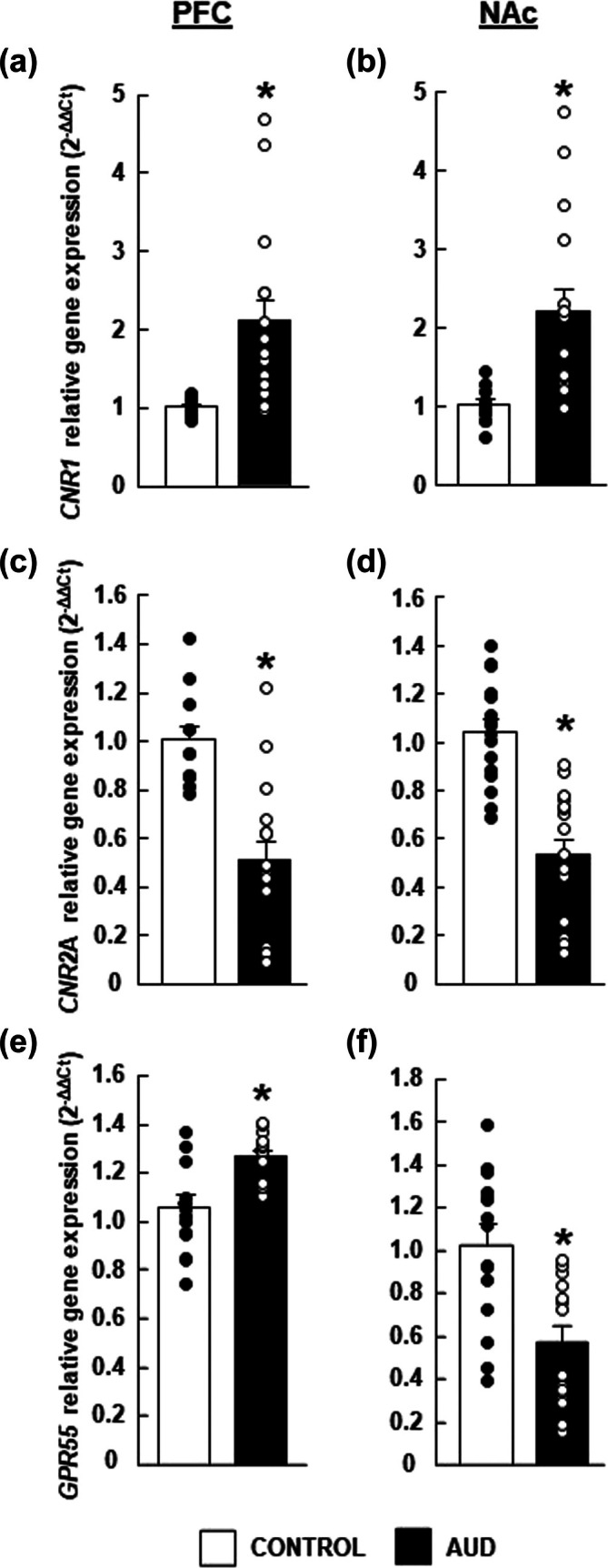 CNR1, CNR2 A isoform and GPR55 expression analyses by real‐time polymerase chain reaction (PCR). Gene expression in alcohol use disorder (AUD) patients is expressed relative to control subjects. Data are expressed as mean ± SEM of 2−ΔΔCt. CNR1, CNR2 A isoform and GPR55 expression in the PFC [(a), (b), (c), respectively] and the NAc [(d), (e), (f), respectively]. *Values from AUD subjects that are significantly different (P < 0.05) from controls.