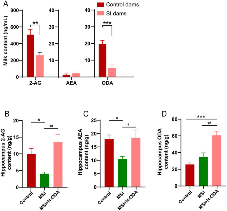 Effects of maternal sleep interruption and neonatal ODA supplementation on endocannabinoid levels in dam’s milk and offspring hippocampus. (A) 2-AG, AEA and ODA levels in milk from dams. (B,C) 2-AG, AEA and ODA levels in hippocampus of offspring. n = 6–7 samples per group. Data are presented as mean ± SEM. *p < 0.05, **p < 0.01 and ***p < 0.001 versus the control group; #p < 0.05 and ##p < 0.01 versus the MSI group. SI, sleep interrupted; MSI, maternal sleep interruption; AEA, anandamide; 2-AG, 2-arachidonoylglycerol; ODA, oleamide. H-ODA, 25 mg/(kg · day) oleamide.