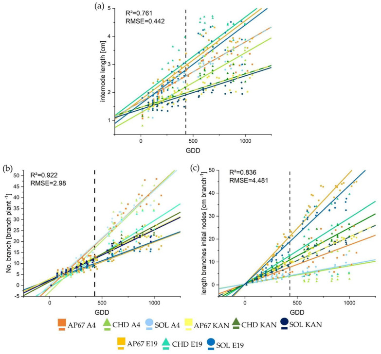 Growth curves fitted to the data collected from the weekly surveys for (a) internode length (b) number of branches (c) length of the branches emerged from the initial nodes after propagation using the linear Equation (3). The lines display the calculated growth trajectory, the respective symbols stand for the mean values of the respective treatment per growing degree day (GDD), when two lines overlap, one is shown as a solid line and the other as a dashed line. The vertical dashed line represents the conversion from long to short day.