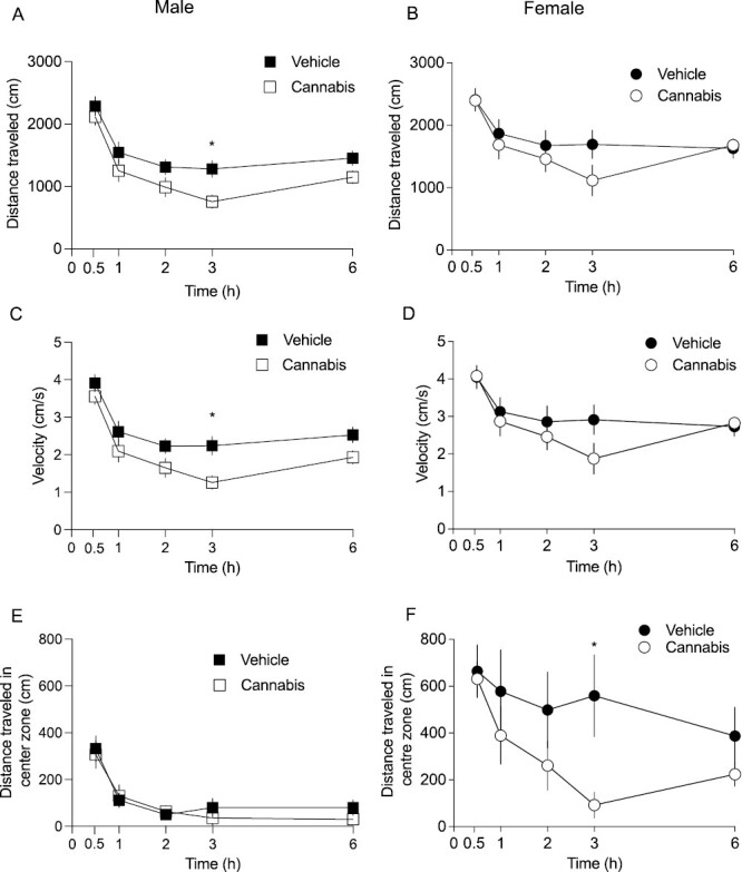 Locomotor effects of oral cannabis consumption. (A) Male mice show a hypolocomotor effect of oral cannabis consumption at 3 hours. (B) Female offspring did not show a significant locomotor effect of cannabis. Velocity was not significantly different in male (C) or female (D) mice. There was no effect of cannabis on distance travelled in the center of the open field apparatus for male mice (E), but (F) female mice had decreased distance traveled in the center of the open field apparatus 3 hours post cannabis consumption. Data are presented as mean ±SEM, n = 9–10 mice.