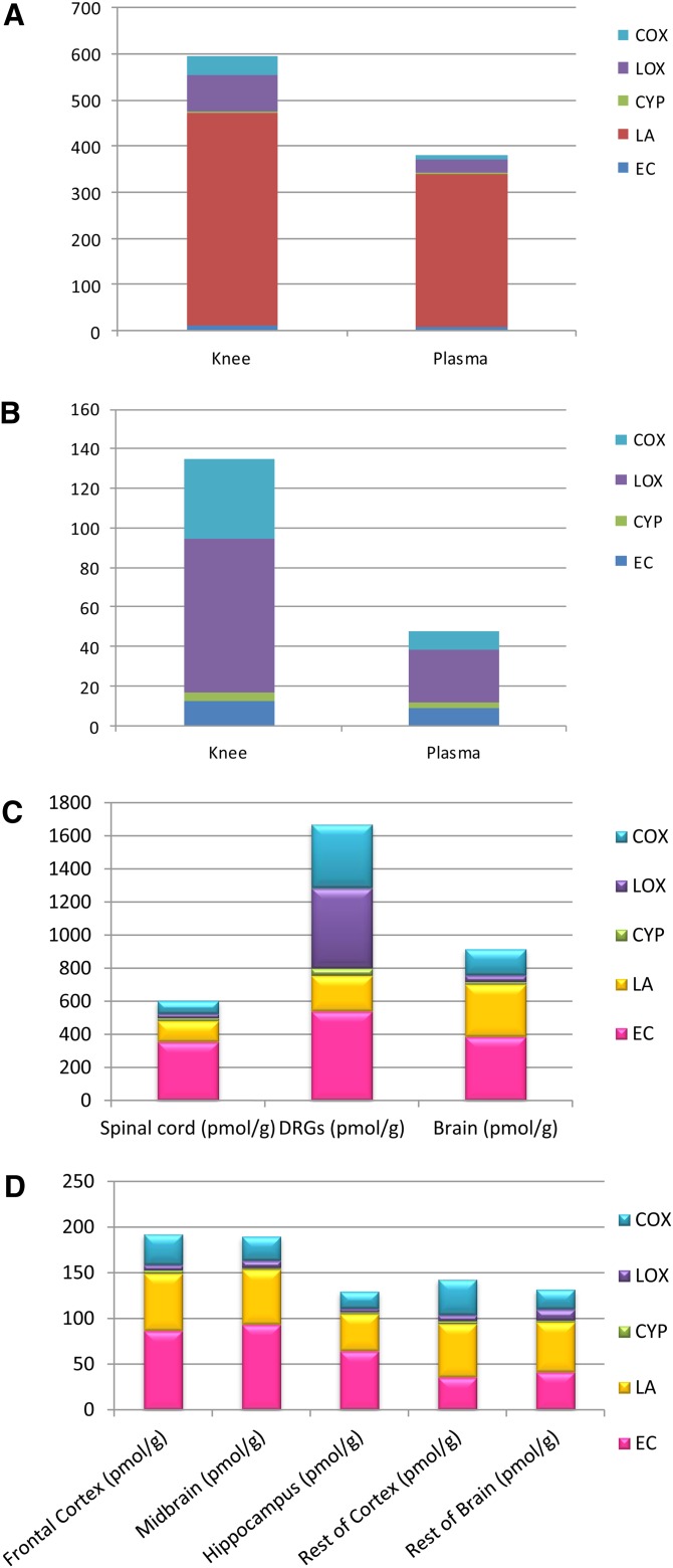 A: Lipid distribution of the measured analytes in knee joint (pmol/g) and plasma (pmol/ml), excluding 2-AG and AA. B: Lipid distribution of the measured analytes in knee joint and plasma, excluding LA, 2-AG, and AA. C: Lipid distribution of the measured analytes in spinal cord, DRGs, and brain. D: Lipid distribution of the measured analytes in rat brain divided into five regions; frontal cortex, midbrain, hippocampus, rest of cortex, and rest of brain