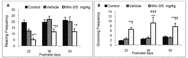 Comparison of the interval between rearing and grooming in the studied groups on 22, 36 and 50 postnatal days in figures A and B, respectively (n = 8) (Values are expressed as mean ± SEM.) *, **, ***, **** indicate significant differences with the control group (P < 0.05, P < 0.01, P < 0.001, and P < 0.0001, respectively) †, ††, †††, †††† indicate significant differences with the vehicle group (P < 0.05, P < 0.01, P < 0.001, and P < 0.0001, respectively)