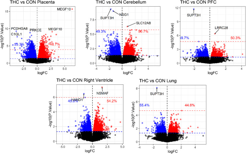Prenatal THC is associated with differential methylation at individual CpGs in each tissue tested. Volcano plots for each tissue show CpG-specific associations with THC exposure using limma with a factorial design of group and tissue, accounting for within-subject correlation. Each plot depicts the logFC for THC versus CON on the x-axis, − log10(p values) on the y-axis. Percentages indicate relative proportions of nominally significant hypomethylated (blue) and hypermethylated (red) CpGs. The dotted blue line indicates nominal p < 0.05, and the dotted red line indicates CpGs reaching significance after adjusting for multiple comparisons using the Benjamini and Hochberg method to control false discovery rate (FDR)