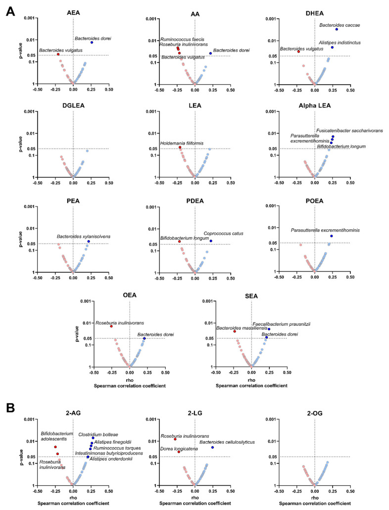 Volcano plots showing partial Spearman correlations of plasma levels of endocannabinoids and their analogues with the relative abundance of certain bacterial species. Each volcano plot shows the rho coefficients in the X-axis, and p-values of the correlations are shown on the Y-axis. Panel (A) shows AEA and related N-acylethanolamines, whereas panel (B) shows 2-AG and related acylglycerols. Red circles indicate negative correlations, whereas blue circles indicate positive correlations. Body mass index was included as a confounder in these correlations. Only those bacterial species with significant p-values (p < 0.05) are annotated within the figure. 2-AG: 2-arachidonylglycerol; 2-LG: 2-linoleoylglycerol; 2-OG: 2-oleoylglycerol; alpha LEA: alpha-Linolenoyl ethanolamide; AA: arachidonic acid; AEA: anandamide; DGLEA: dihomo-gamma-linolenoyl ethanolamide; DHEA: docosahexaenoyl ethanolamide; LEA: linoleoyl ethanolamide; OEA: oleoyl ethanolamine; PEA: palmitoyl ethanolamide; PDEA: pentadecanoyl ethanolamide; POEA: palmitoleoyl ethanolamide; SEA: stearoyl ethanolamide.