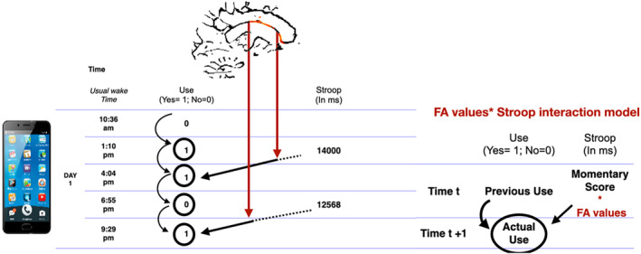Mixed model procedure from the raw data. Legend: During a typical day of EMA assessment, participants had to report if they used anysubstance and their primary substance (for the SUD sample) 5 times and had to complete theStroop mobile testing twice. The week of assessment hence results in 35‐time point assessmentsof substance use and 14 assessments of inhibition functioning that can be lagged in time topredict the next time point's assessments (Time t+1) from the immediately preceding time pointassessments (Time t). By treating each time point as a repetition, we modeled the prediction offuture use (at time t+1) by the current Stroop performance (at time t) while controlling fromprevious use (at time t). FA values within each cluster were then entered as a moderator of theStroop / use link. To do so the Stroop scores at each time point is multiplied by FA values ofeach cluster, resulting in an interaction term FA value * Stroop for each time t. This interactionterm is entered as predictor of subsequent use (at time t +1) while correcting for previous use(at time t). This is similar to a moderation analysis where FA values (indicated by the red arrow)modified the strength of the prediction between inhibition and use (indicated by the blackarrow).