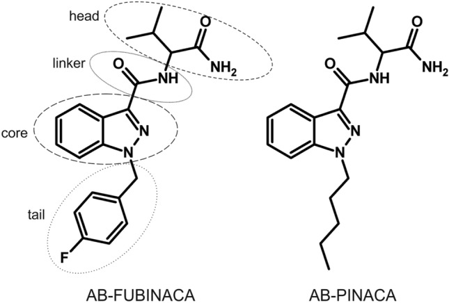 Chemical structures of AB-FUBINACA and AB-PINACA and indication of the four subunits in the structure of synthetic cannabinoids
