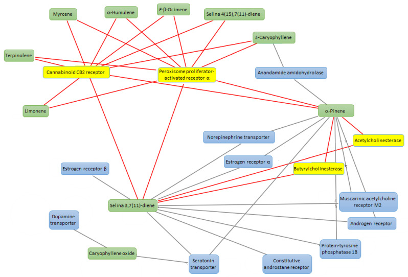 Network pharmacology analysis underlying the theoretical interactions between essential oil phytochemicals, namely α-pinene, α-humulene, E-caryophyllene, E-β-ocimene, myrcene, terpinolene, limonene, selina-4(15),7(11)-diene, selina-3,7(11)-diene, caryophyllene oxide and multiple mouse target proteins, including acetylcholinesterase, cannabinoid CB2 receptor, peroxisome proliferator-activated receptor α. The molecular targets were identified through the bioinformatics platform SwissTargetPrediction, as well as the components-targets plot was built through Cytoscape software (3.8 version).
