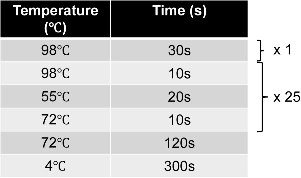 Thermocycler conditions for PCR amplification.