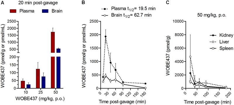 WOBE437 is rapidly biodistributed after oral administration in C57BL6/J male mice. (A) After 20 min post-gavage, WOBE437 was dose-dependently absorbed and reached quantifiable concentrations in brain and plasma. Data show mean values ± SD of 5–10 mice. (B) Time course of WOBE437 concentration in brain and plasma showing an estimated Tmax of 10–20 min after administration. Data show mean values ± SD of 5–10 mice. (C) Time course of WOBE437 concentrations in kidney, liver, and spleen, showing the highest concentrations in liver 20 min after administration. p.o., per os. Data show mean values ± SD of 5–10 mice.
