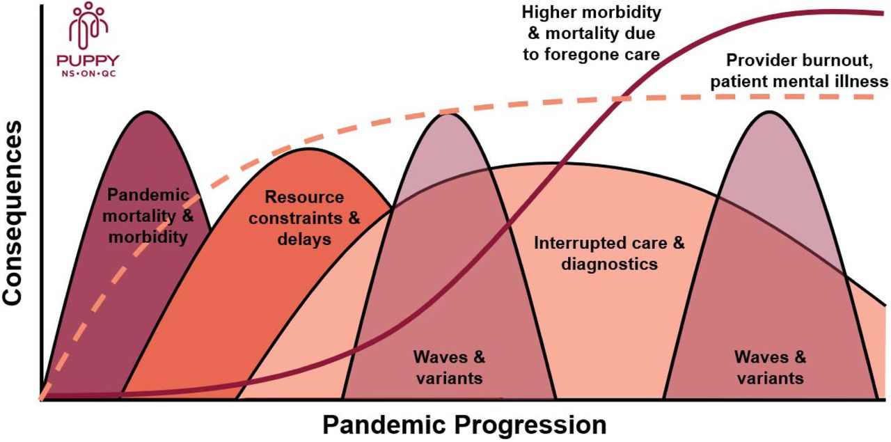 Anticipated waves of COVID-19 pandemic on primary care