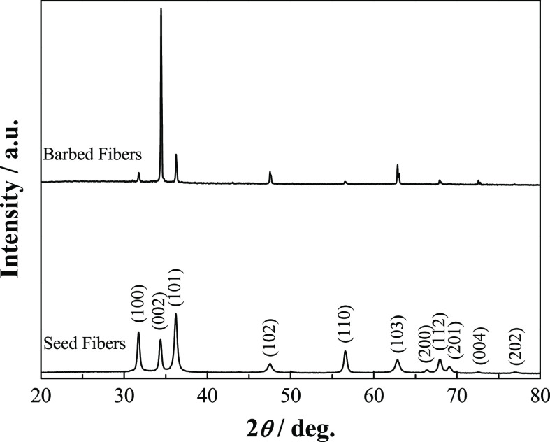 X-ray diffraction patterns of seed fibers and barbed fibers.