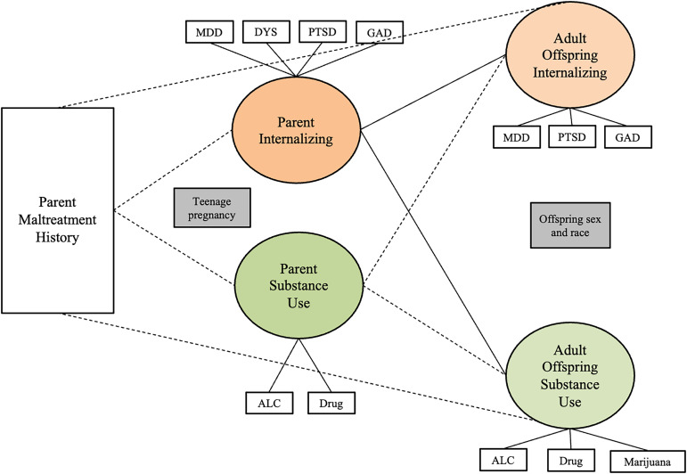 Results of structural equation model testing whether two-factor parent psychopathology construct (internalizing and substance use) mediates the relationship between childhood maltreatment and adult offspring internalizing psychopathology and substance use. Note. Rectangles represent observed variables; ovals represent latent variables on which psychopathology scores have been regressed. Teenage pregnancy was controlled for on the paths leading to parent psychopathology. Offspring sex and race were controlled for on paths leading to the outcome variables. Dotted lines represent non-significant paths. Solid lines represent paths with significant coefficients.