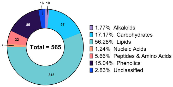 Composition of the global metabolic profile of walnut pellicle expressed as percentage of the total detected and identified metabolites.