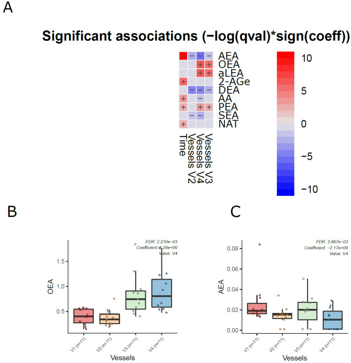 Dynamics of ECs in the in vitro colon simulator. The figure depicts the EC changes in four vessels (V1–V4) over two time points (24 and 48 h). (A) Heat map showing the difference in the EC between vessels (V1–V4), time (24 vs. 48 h), and case (with/without PDX) compared using a multivariable linear model. The changes in vessels were in reference to vessel 1. Blue indicates decreasing trend while red denotes an increase in the trend. (B,C) The box plot shows the difference in the EC between vessels (V1–V4). These selected ECs highlight the dynamic trends between the vessels (V1 to V4), which mimics the compartments of the human colon from the proximal to the distal part.