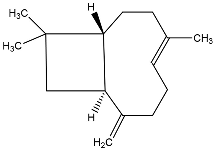 Chemical structure of β-caryophyllene.