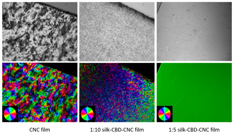 Top images present POM of CNC and silk-CBD-CNC composite films with increasing amounts of silk-CBD. Bottom images show the corresponding LC-PolScope analysis performed on the POM image. The color wheel in the corner presents the orientation of the sample alignment (20× magnification).